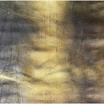 Forgotten Sands Leather Hide - Image 2