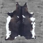Hair-On Cowhide Rug Dark Brown & White