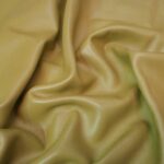 Pistacchio Dollaro Leather