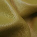 Pistacchio Dollaro Leather