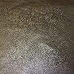 Upholstery Leather Grained Bistre Green