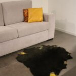 Seeweed Green Lambskin Shearling Hide For Rugs & Decoration