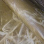 Crazy Horse Leather Yellow