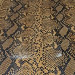 Embossed Cowhide Leather Snake Cuoio - Image 5
