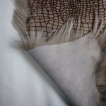 Goatskin Hide ~24x22cm Beige-Animal Print RG60
