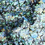 Ponyskin Δέρμα ~87x70cm Floral PO935